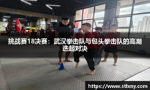 NG体育平台