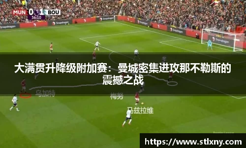 NG体育官方网站