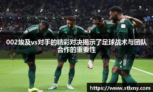 NG体育平台
